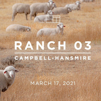 Ranch 03 Release Day