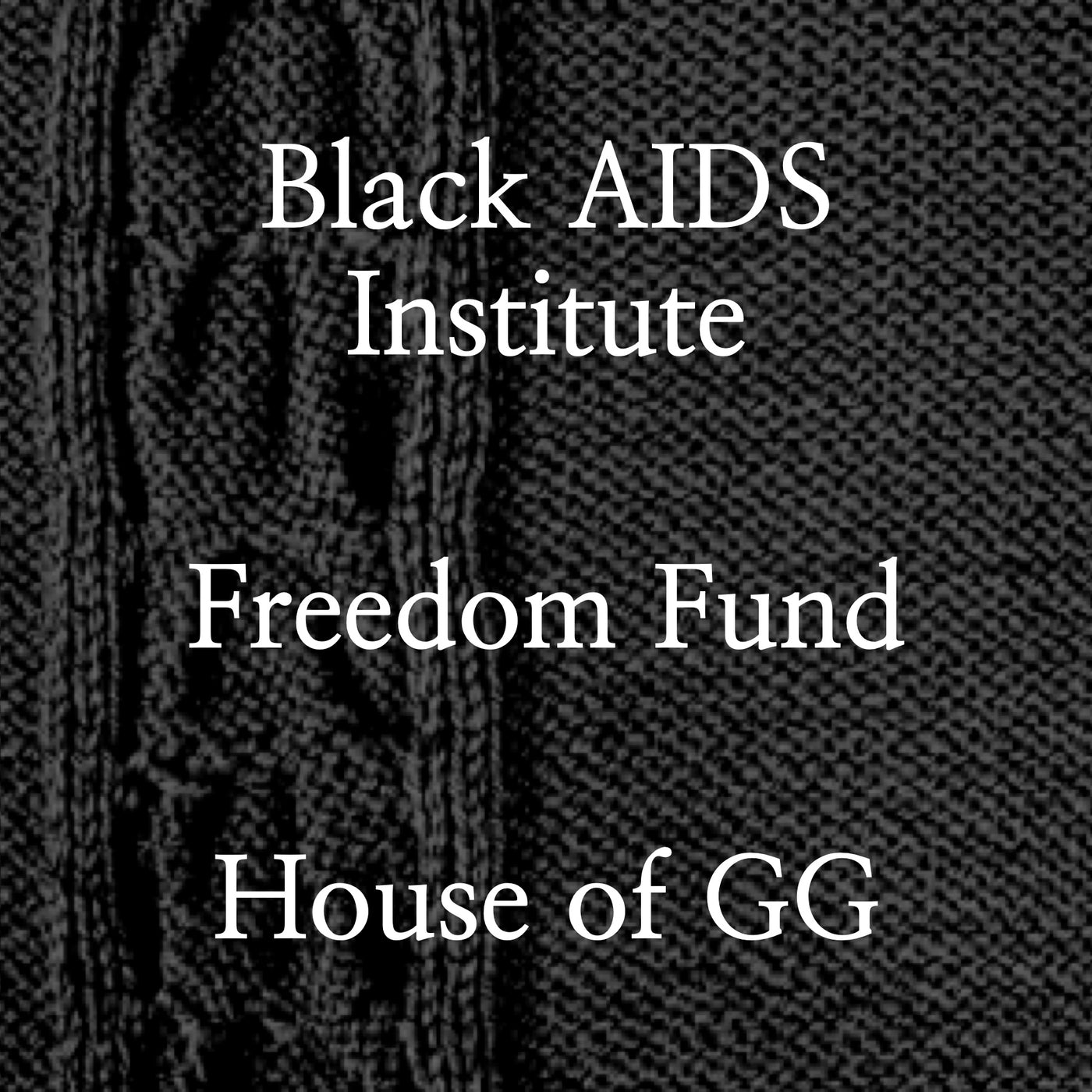 black aids institute freedom fund house of gg